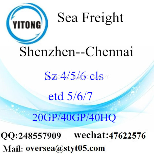 Shenzhen porto mare che spediscono a Chennai